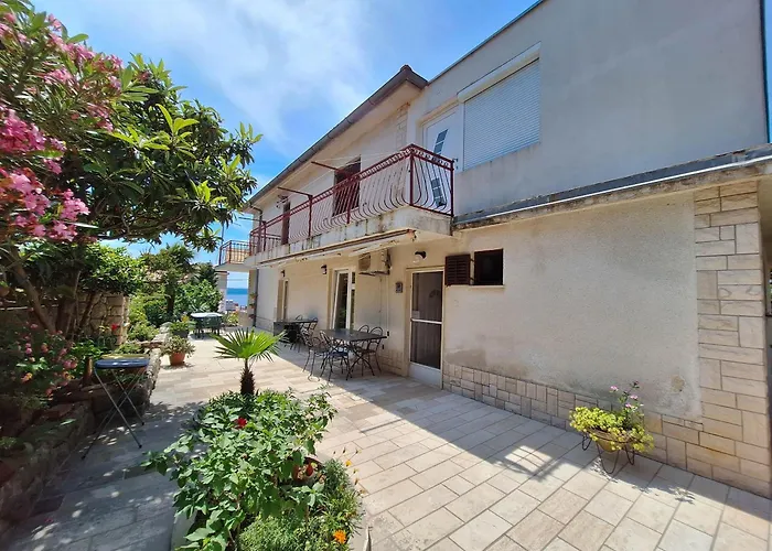 Tortuga 德拉马利